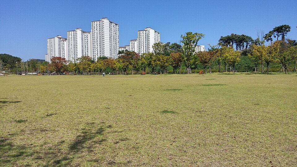 영통구 과외 선생님 추천 — 광교호수공원