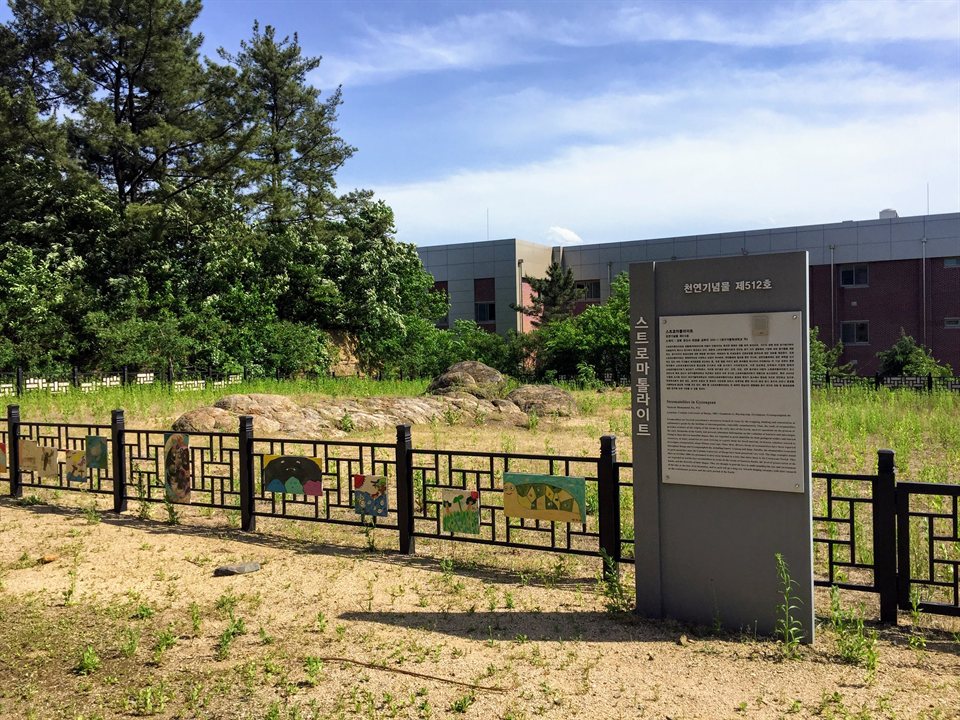 대구가톨릭대학교 하양 캠퍼스 안의 스트로마톨라이트 보호구역과 안내판, 뒤편 캠퍼스 건물 — 대구가톨릭대 2027 정시